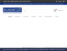 Tablet Screenshot of eligor.com